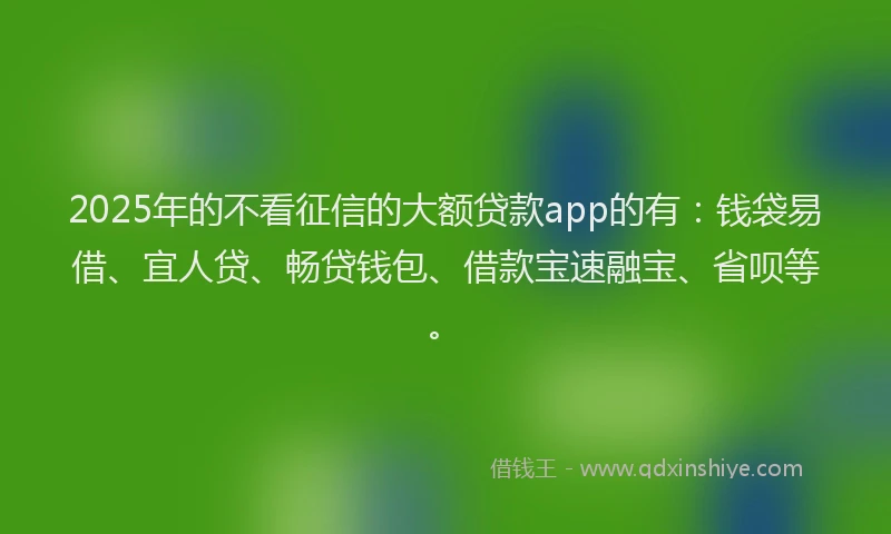 2025年的不看征信的大额贷款app的有：钱袋易借、宜人贷、畅贷钱包、借款宝速融宝、省呗等。