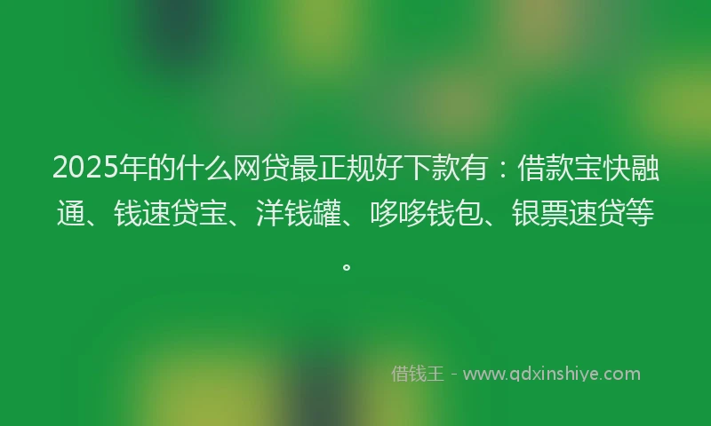 2025年的什么网贷最正规好下款有：借款宝快融通、钱速贷宝、洋钱罐、哆哆钱包、银票速贷等。