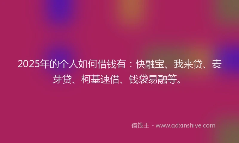2025年的个人如何借钱有：快融宝、我来贷、麦芽贷、柯基速借、钱袋易融等。