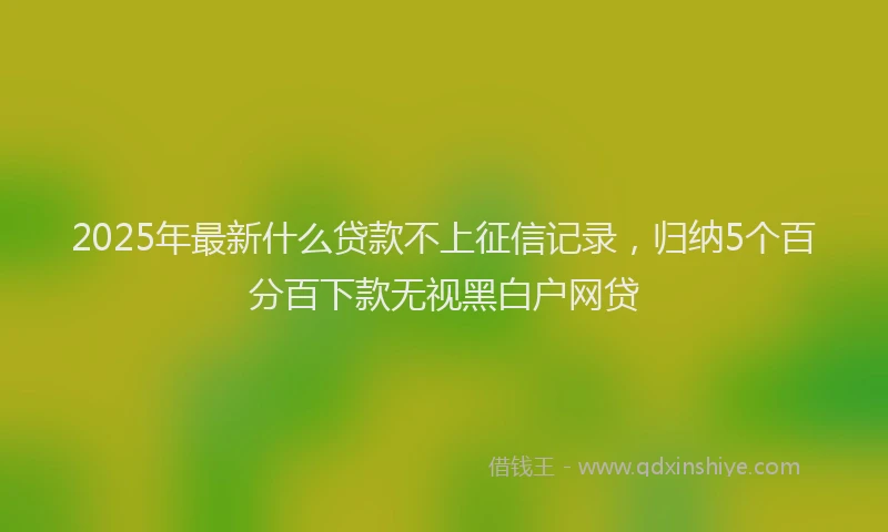 2025年最新什么贷款不上征信记录，归纳5个百分百下款无视黑白户网贷