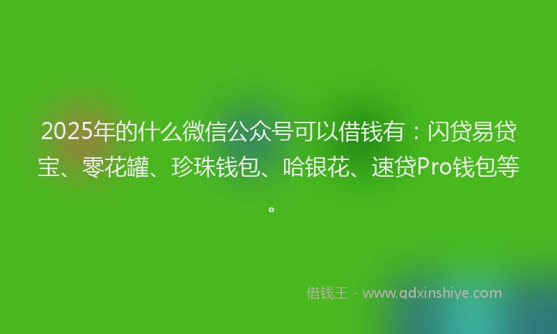2025年的什么微信公众号可以借钱有：闪贷易贷宝、零花罐、珍珠钱包、哈银花、速贷Pro钱包等。