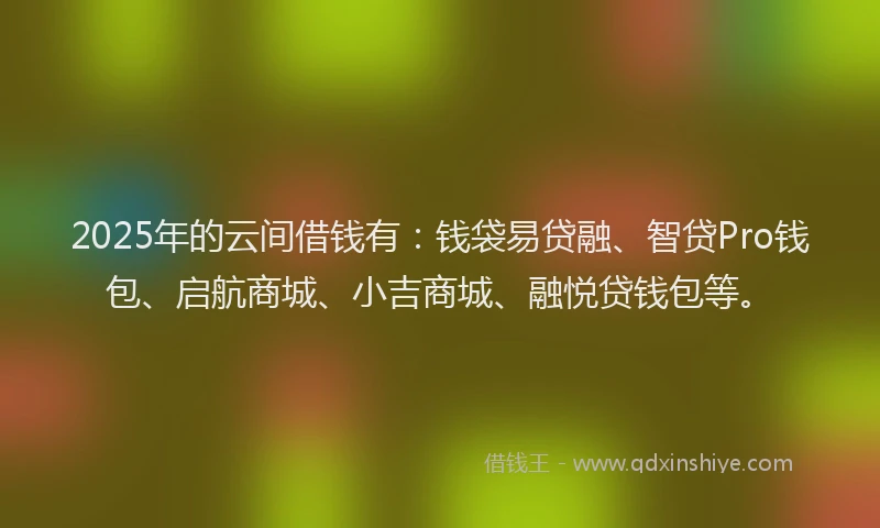 2025年的云间借钱有：钱袋易贷融、智贷Pro钱包、启航商城、小吉商城、融悦贷钱包等。