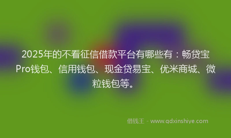 2025年的不看征信借款平台有哪些有：畅贷宝Pro钱包、信用钱包、现金贷易宝、优米商城、微粒钱包等。