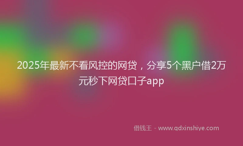 2025年最新不看风控的网贷，分享5个黑户借2万元秒下网贷口子app