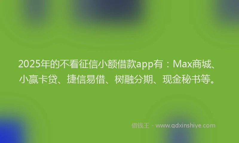 2025年的不看征信小额借款app有：Max商城、小赢卡贷、捷信易借、树融分期、现金秘书等。