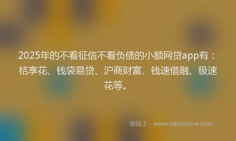2025年的不看征信不看负债的小额网贷app有：桔享花、钱袋易贷、沪商财富、钱速借融、极速花等。