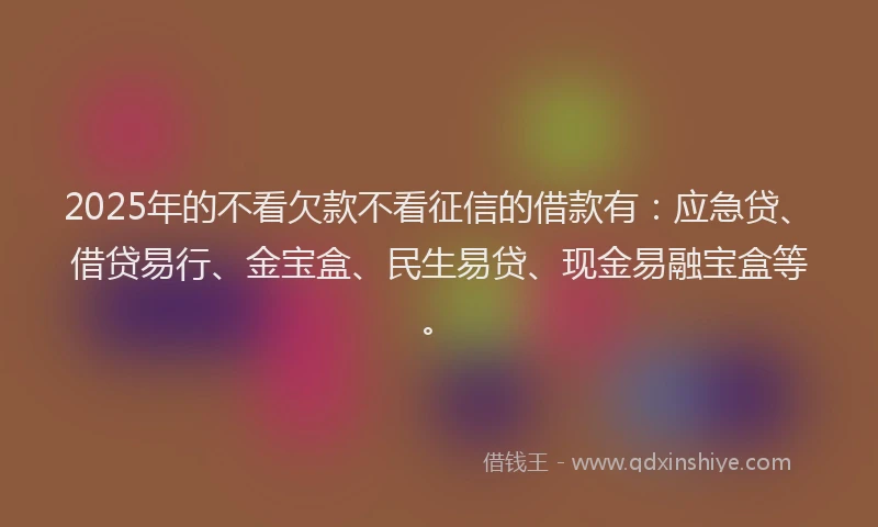 2025年的不看欠款不看征信的借款有：应急贷、借贷易行、金宝盒、民生易贷、现金易融宝盒等。
