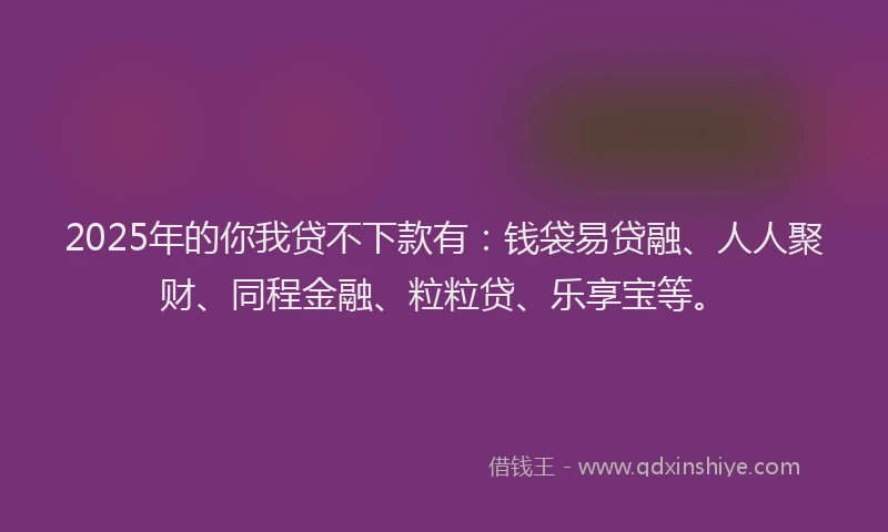 2025年的你我贷不下款有：钱袋易贷融、人人聚财、同程金融、粒粒贷、乐享宝等。