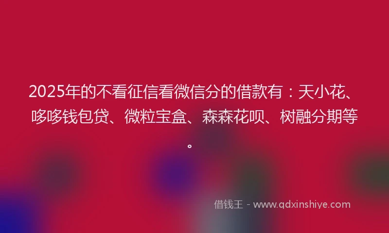 2025年的不看征信看微信分的借款有：天小花、哆哆钱包贷、微粒宝盒、森森花呗、树融分期等。