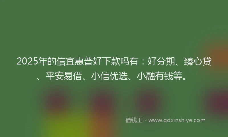 2025年的信宜惠普好下款吗有：好分期、臻心贷、平安易借、小信优选、小融有钱等。