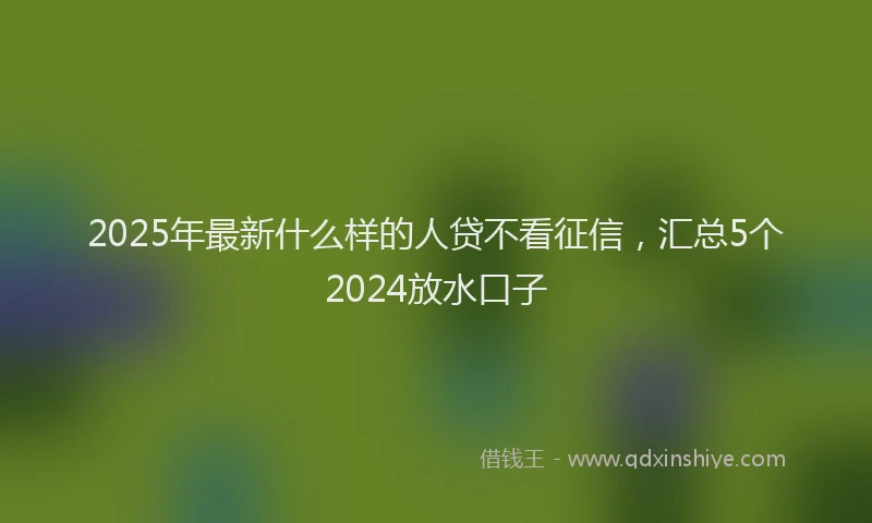 2025年最新什么样的人贷不看征信，汇总5个2024放水口子