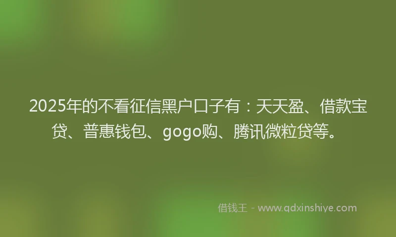 2025年的不看征信黑户口子有：天天盈、借款宝贷、普惠钱包、gogo购、腾讯微粒贷等。