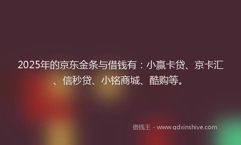 2025年的京东金条与借钱有：小赢卡贷、京卡汇、信秒贷、小铭商城、酷购等。