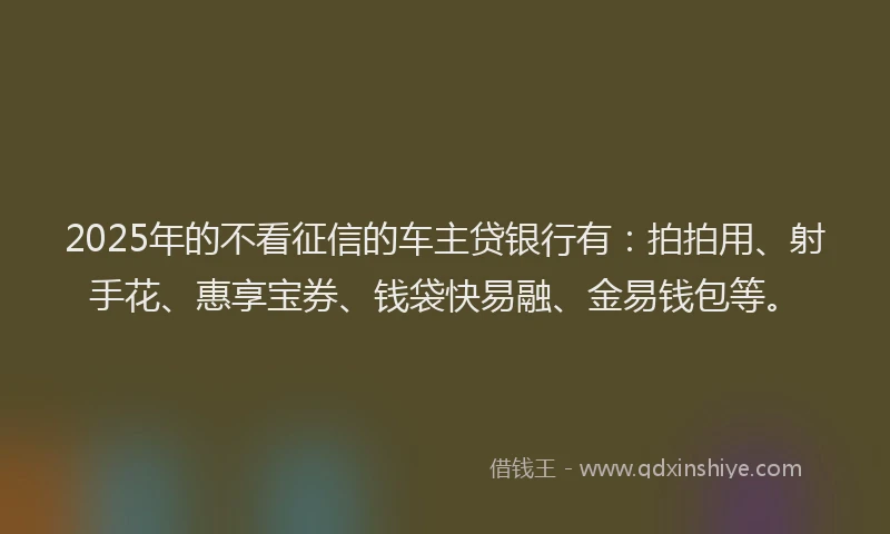 2025年的不看征信的车主贷银行有：拍拍用、射手花、惠享宝券、钱袋快易融、金易钱包等。