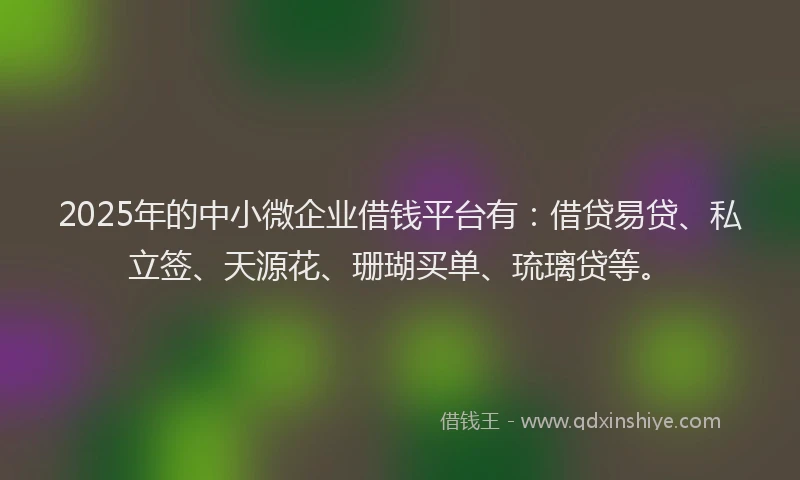 2025年的中小微企业借钱平台有：借贷易贷、私立签、天源花、珊瑚买单、琉璃贷等。
