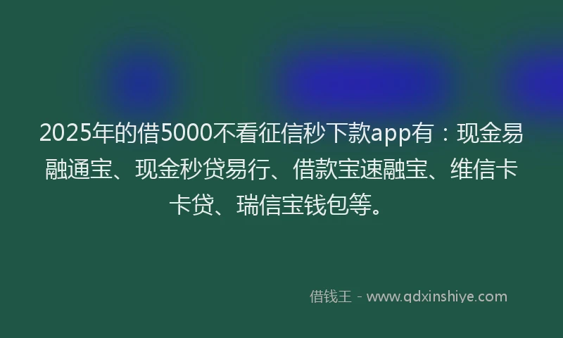 2025年的借5000不看征信秒下款app有：现金易融通宝、现金秒贷易行、借款宝速融宝、维信卡卡贷、瑞信宝钱包等。