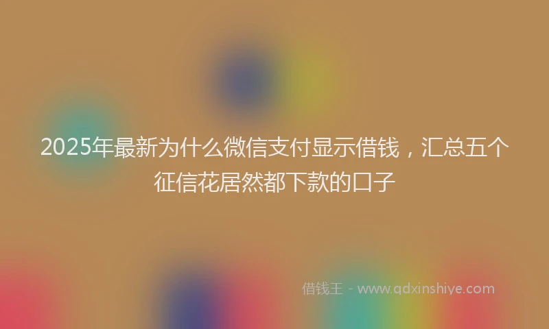 2025年最新为什么微信支付显示借钱，汇总五个征信花居然都下款的口子