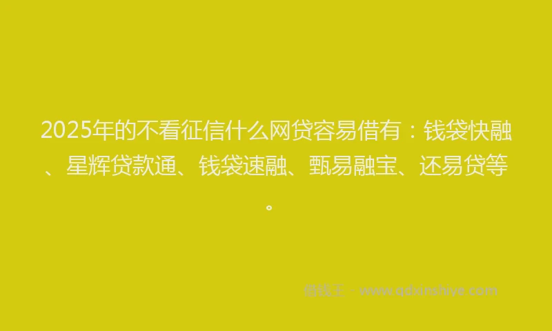 2025年的不看征信什么网贷容易借有：钱袋快融、星辉贷款通、钱袋速融、甄易融宝、还易贷等。
