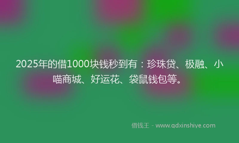2025年的借1000块钱秒到有：珍珠贷、极融、小喵商城、好运花、袋鼠钱包等。