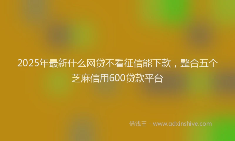 2025年最新什么网贷不看征信能下款，整合五个芝麻信用600贷款平台
