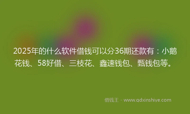 2025年的什么软件借钱可以分36期还款有：小鹅花钱、58好借、三枝花、鑫速钱包、甄钱包等。