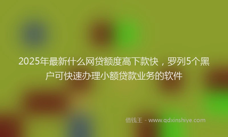 2025年最新什么网贷额度高下款快，罗列5个黑户可快速办理小额贷款业务的软件