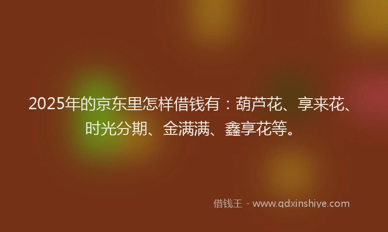 2025年的京东里怎样借钱有：葫芦花、享来花、时光分期、金满满、鑫享花等。
