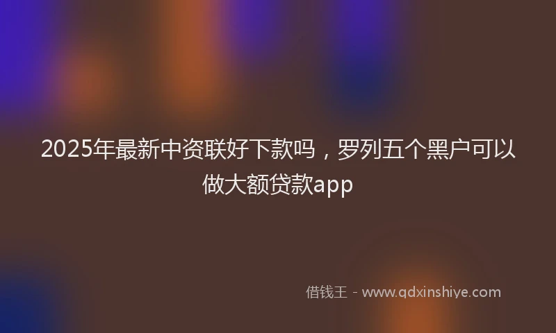 2025年最新中资联好下款吗，罗列五个黑户可以做大额贷款app
