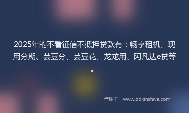 2025年的不看征信不抵押贷款有：畅享租机、现用分期、芸豆分、芸豆花、龙龙用、阿凡达e贷等。