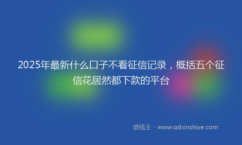 2025年最新什么口子不看征信记录，概括五个征信花居然都下款的平台