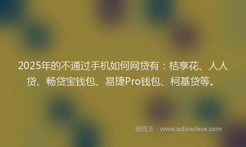 2025年的不通过手机如何网贷有：桔享花、人人贷、畅贷宝钱包、易捷Pro钱包、柯基贷等。