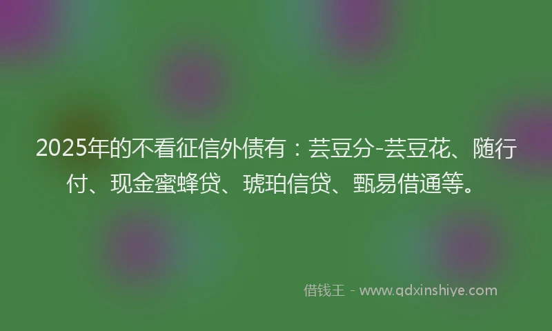 2025年的不看征信外债有：芸豆分-芸豆花、随行付、现金蜜蜂贷、琥珀信贷、甄易借通等。