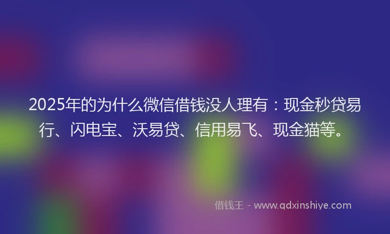 2025年的为什么微信借钱没人理有：现金秒贷易行、闪电宝、沃易贷、信用易飞、现金猫等。
