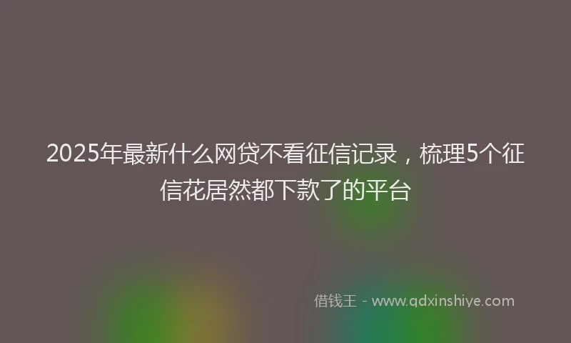 2025年最新什么网贷不看征信记录，梳理5个征信花居然都下款了的平台