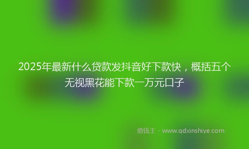 2025年最新什么贷款发抖音好下款快，概括五个无视黑花能下款一万元口子