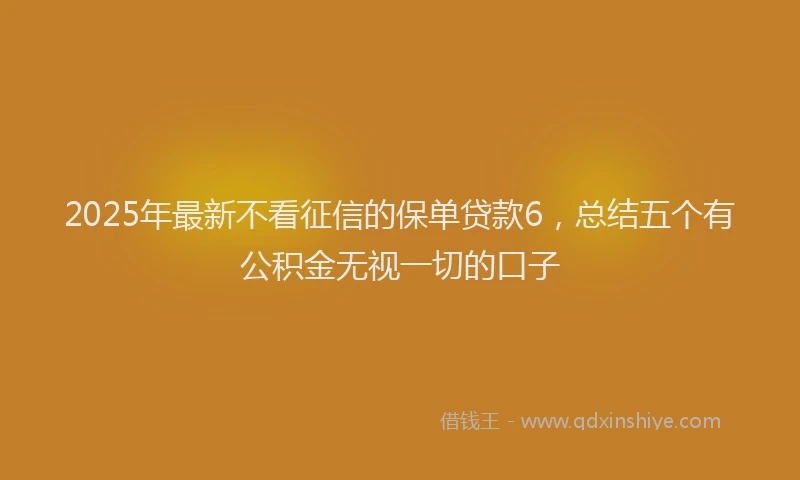 2025年最新不看征信的保单贷款6，总结五个有公积金无视一切的口子