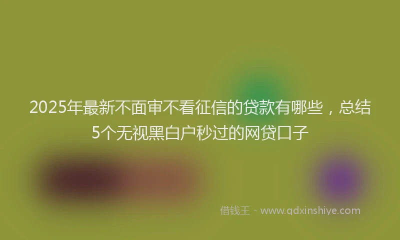 2025年最新不面审不看征信的贷款有哪些，总结5个无视黑白户秒过的网贷口子