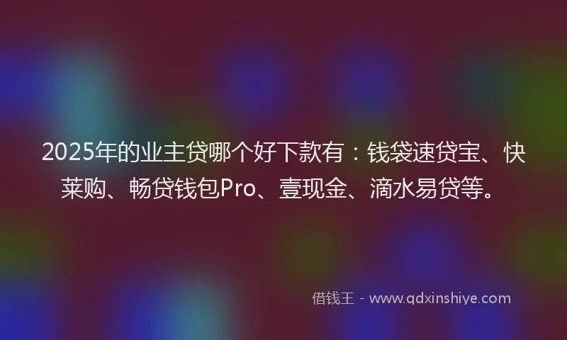 2025年的业主贷哪个好下款有：钱袋速贷宝、快莱购、畅贷钱包Pro、壹现金、滴水易贷等。