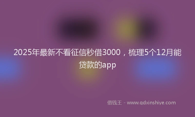 2025年最新不看征信秒借3000，梳理5个12月能贷款的app