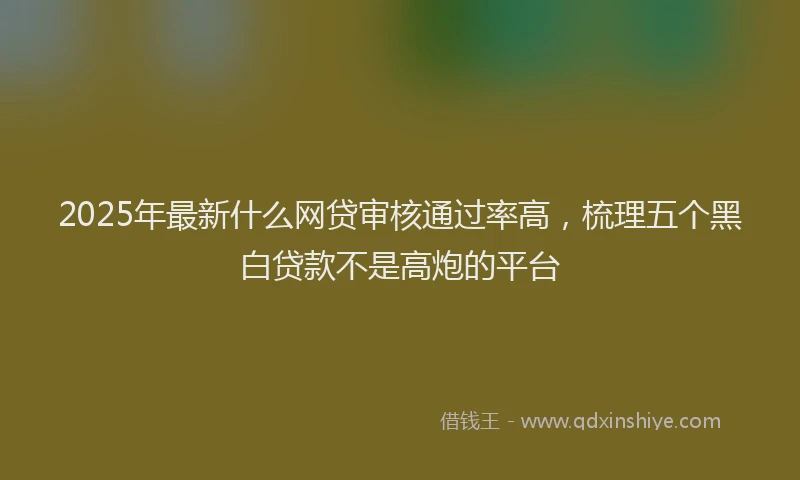 2025年最新什么网贷审核通过率高，梳理五个黑白贷款不是高炮的平台