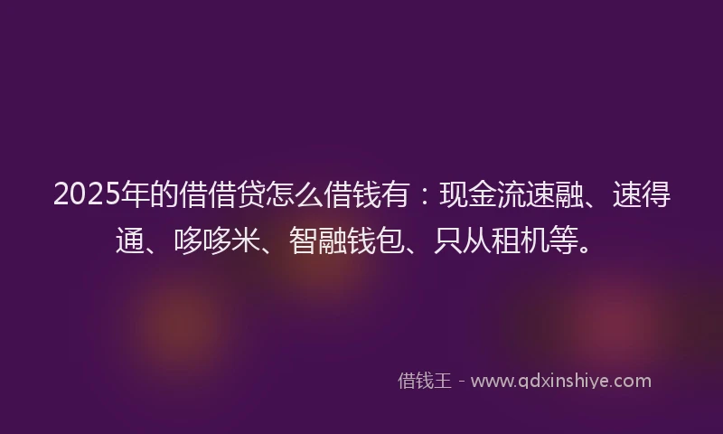 2025年的借借贷怎么借钱有：现金流速融、速得通、哆哆米、智融钱包、只从租机等。