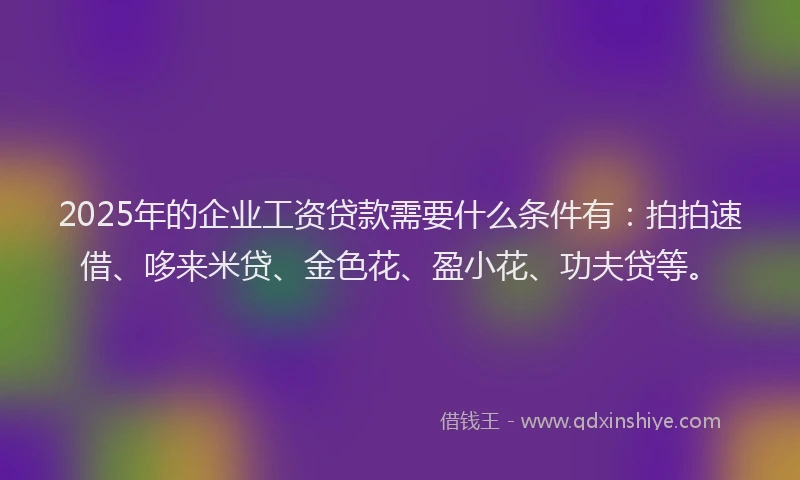2025年的企业工资贷款需要什么条件有：拍拍速借、哆来米贷、金色花、盈小花、功夫贷等。