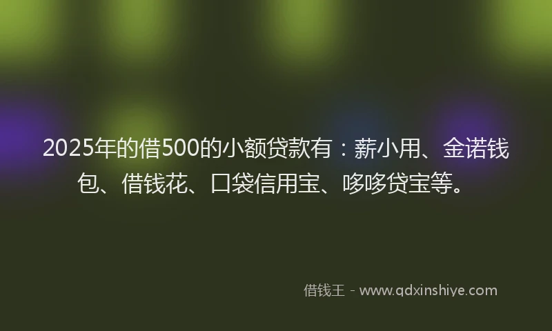 2025年的借500的小额贷款有：薪小用、金诺钱包、借钱花、口袋信用宝、哆哆贷宝等。