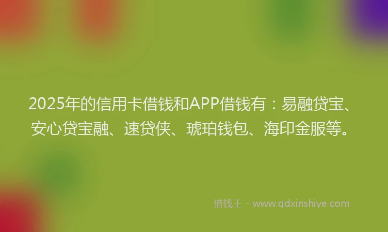 2025年的信用卡借钱和APP借钱有：易融贷宝、安心贷宝融、速贷侠、琥珀钱包、海印金服等。