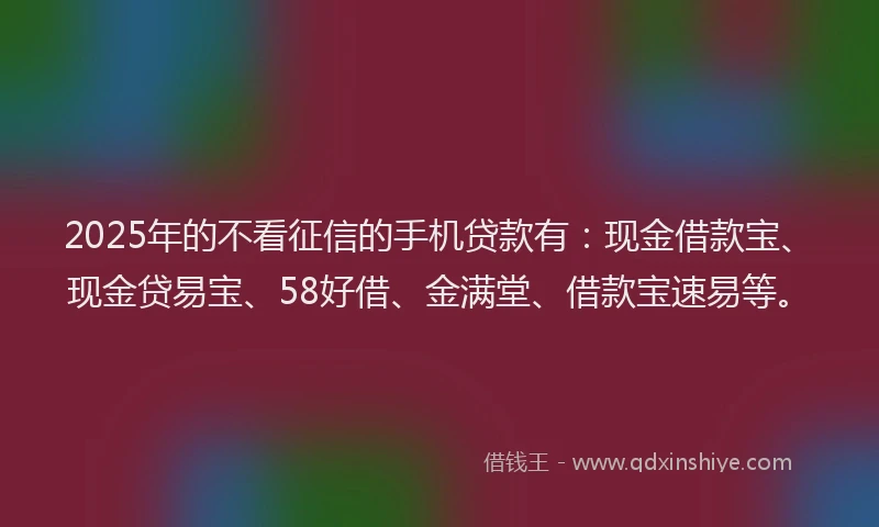 2025年的不看征信的手机贷款有：现金借款宝、现金贷易宝、58好借、金满堂、借款宝速易等。