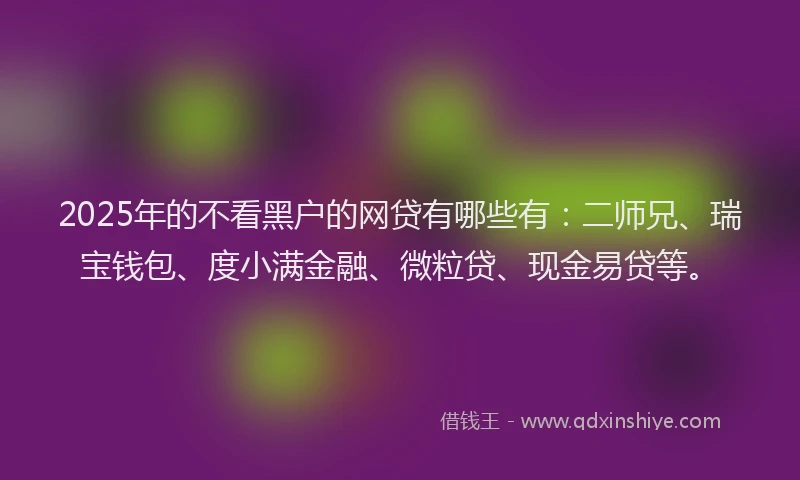 2025年的不看黑户的网贷有哪些有：二师兄、瑞宝钱包、度小满金融、微粒贷、现金易贷等。