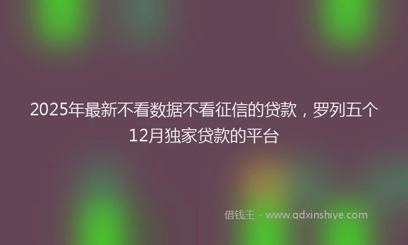 2025年最新不看数据不看征信的贷款，罗列五个12月独家贷款的平台