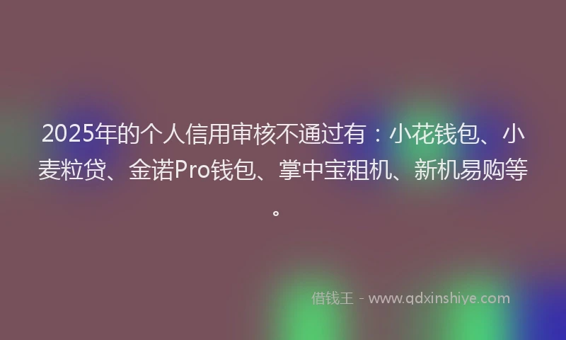 2025年的个人信用审核不通过有：小花钱包、小麦粒贷、金诺Pro钱包、掌中宝租机、新机易购等。