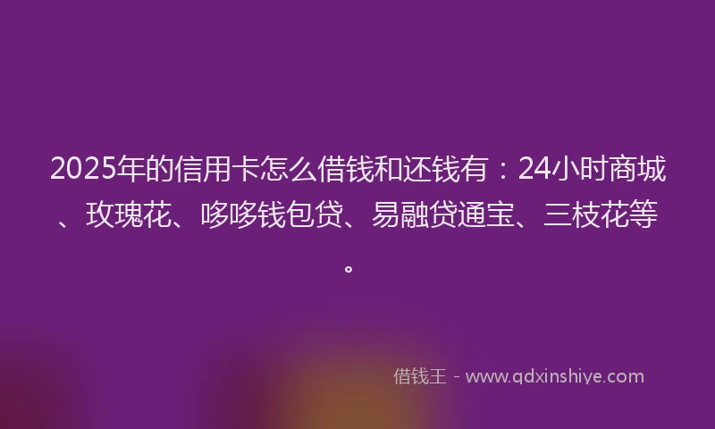 2025年的信用卡怎么借钱和还钱有：24小时商城、玫瑰花、哆哆钱包贷、易融贷通宝、三枝花等。
