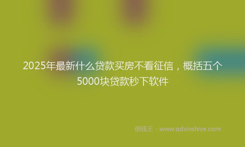 2025年最新什么贷款买房不看征信，概括五个5000块贷款秒下软件